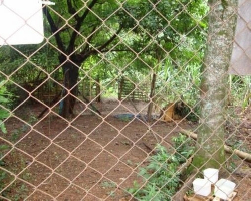Chácara - 938 - 32401277