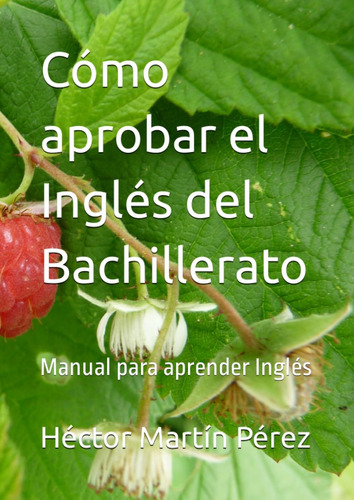 Libro: Cómo Aprobar El Inglés Del Bachillerato: Manual Para 