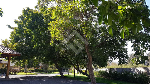 Casa En Venta De 4 Dorm. En Colina Las Brisas