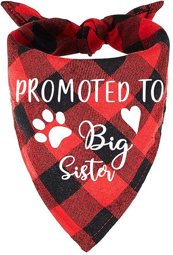 Promocionado Big Sister Red Plaid Dog Bandana  Gender R...