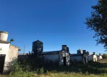 Comprar Jaulas Para 2100 Ponedoras Envio Incluido A Todo El País