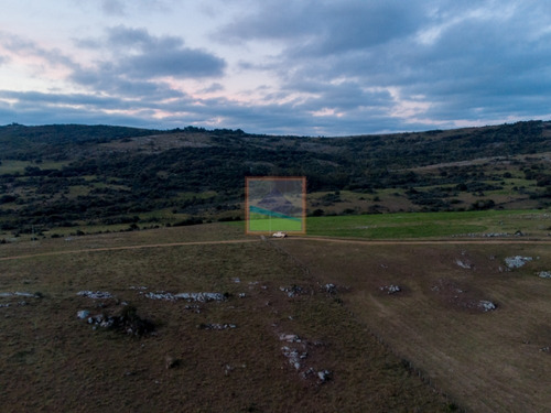 Imagen 19 de 27 de Campo 83hás En Mataojo Pueblo Edén