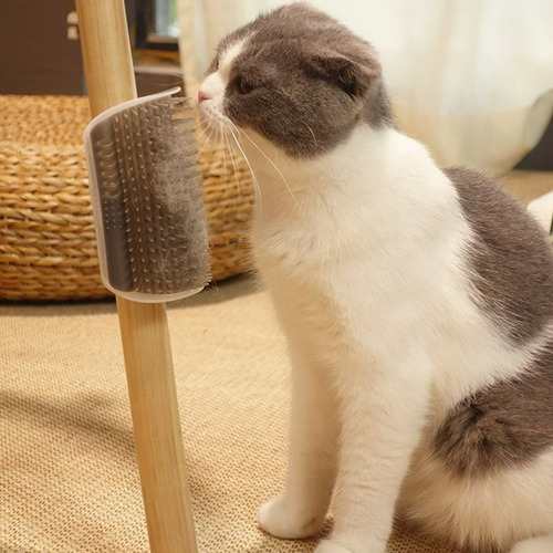Escova De Parede Para Gatos Com Catnip Coçador Roçador Pente