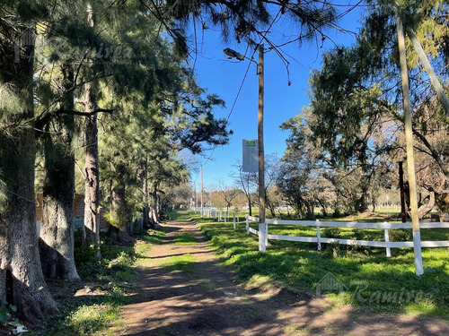 Imagen 23 de 30 de Lote Terreno En Venta 300 M2 - Parques Del Morenito, Moreno Norte