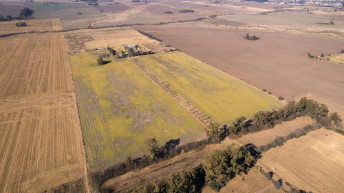 Campo En Venta 25ha En San Andres De Giles