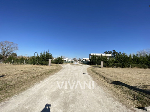 Imagen 11 de 14 de Venta Lote 176 E/ 48 Y 49 - Villa El Tala Berisso @vivanipro