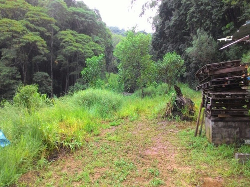 Imagem 13 de 30 de Sitio - St00006 - 4310429