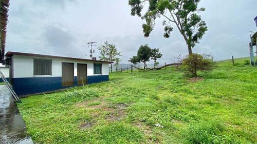 Imagen 13 de 25 de Jd. Se Vende Hermosa Finca En San Antonio De Caparo