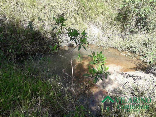 Imagem 14 de 15 de Vende Ou Troca Sitio Em Caeté - 2768