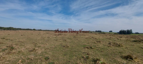 Imagen 6 de 23 de Venta De Chacra 19 Has En San Carlos, Maldonado