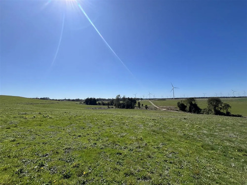 Parcela En Venta En Camino Loncotoro Llanquihue