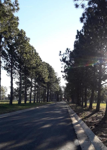 Imagen 2 de 7 de Terreno - Villa Rosa - Apto Procrear