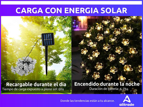 Imagen 4 de 10 de 6,5 Mts Luces Guirnalda Interior/exterior Led Flor