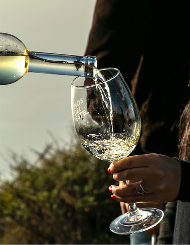 Vino Blanco Juego De Pelota 01 Riesling 750ml