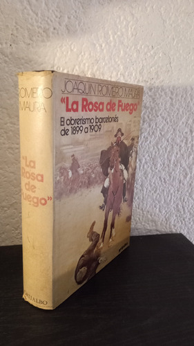 La Rosa De Fuego  - Romero Maura