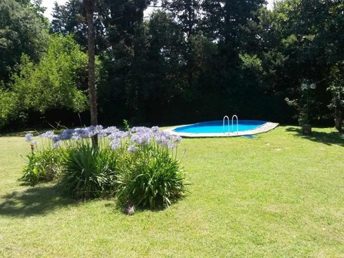 Imagen 5 de 7 de Casa En Alquiler En Parque Leloir