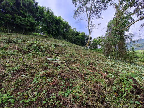 Venta Lote Club Campestre,  Manizales, Cód. 5316761