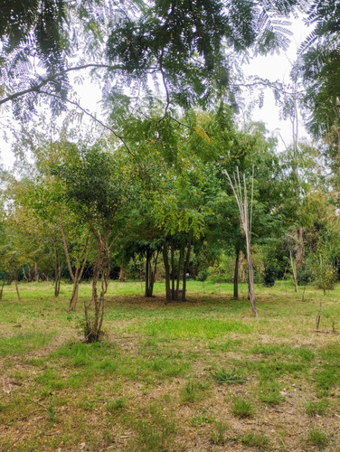 Terreno A 200 Metros De La Autopista 5
