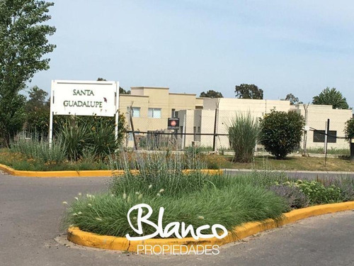 Imagen 8 de 17 de Gran Lote Perimetral Dentro Del Barrio Pilar Del Este - Santa Lucía