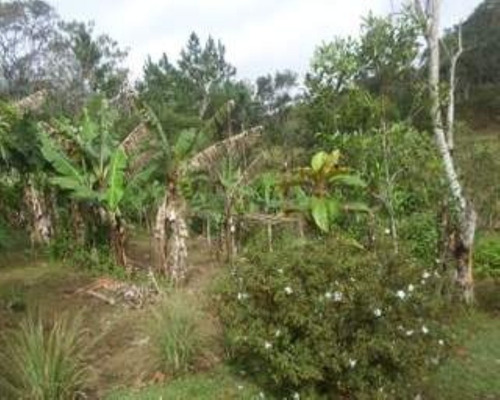 Chacara - 03407 - 33228877