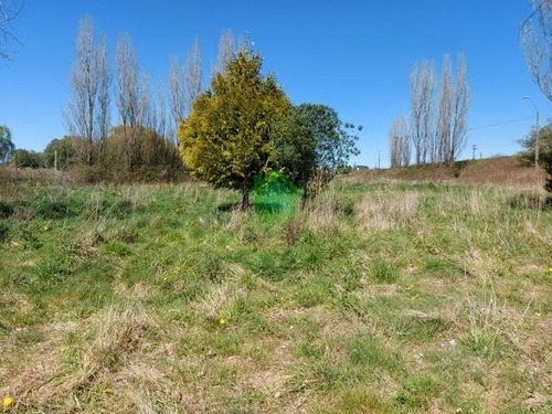 Imagen 6 de 11 de Sitio En Venta En Puyehue