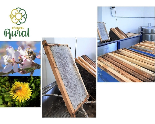 Miel De Abejas Multiflora Nativa, Super Alimento, Balde 5 Kg