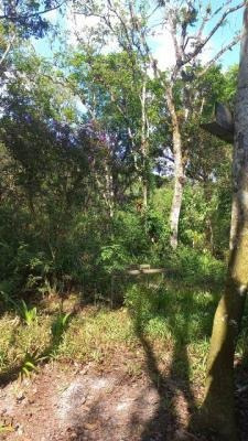 Imagem 6 de 12 de Ampla Chácara Lado Serra, Itanhaém- Chácaras Glória. 9192