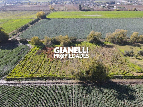 Parcela 5.040 M² - Curacaví - Camino María Pinto - Lolenco