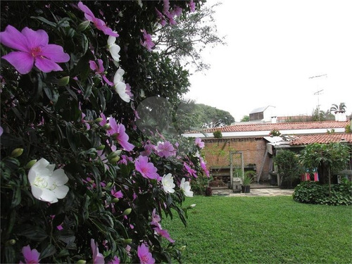 Aceita Permuta Em Alphaville,, Ribeirão Preto Ou Zona Oeste De São Paulo - 353-im374289