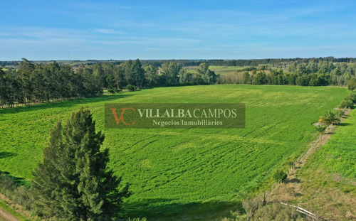 Chacra De 6 Hectáreas En Paraje Pantanoso, Sauce, Canelones.