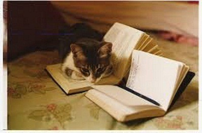 Lote Com 20 Livros Esotéricos Autores Diversos