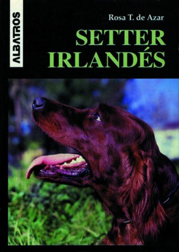 Setter Irlandés - Rosa Taragano De Azar