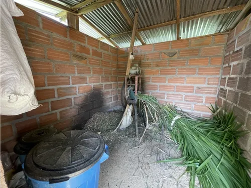 Se Vende Finca Productiva En San Roque, Antioquia.
