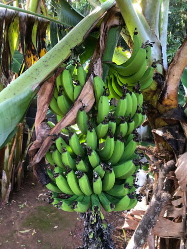 Viver Com A Natureza Não Tem Preço.