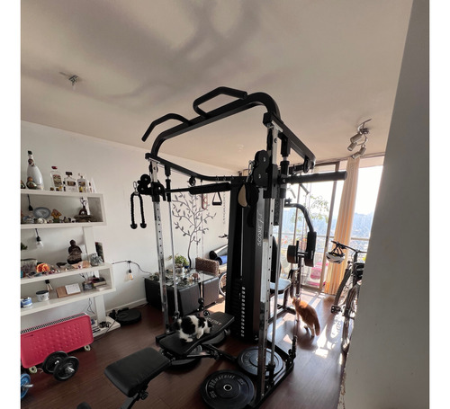 Home Gym Sf-hg100x + Banca Atletis + 4 Discos