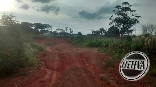 Imagem 10 de 15 de Área Industrial 26.472m² - Bairro Costeira - São José Dos Pinhais - Pr - 968t