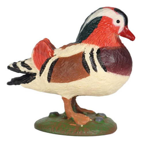 Figuras De Acción Cognitiva Animal De La Estatuilla Del