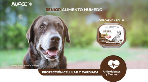 Nupec Alimento Húmedo Senior 16 Latas De 100g Sabor Carne