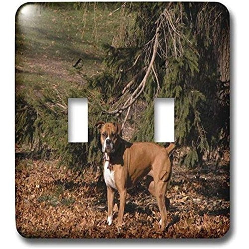 3drose Lsp_4677_2 Boxer Asena Interruptor De Doble Palanca