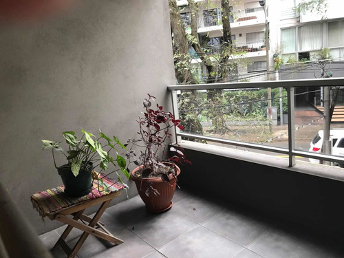 Imagen 4 de 14 de Apto De 2 Dorm Y 2 Baños, Al Frente. 3 Terrazas, Losa