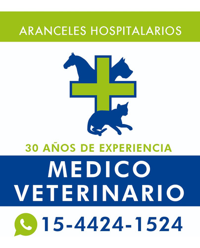 Veterinario A Domicilio, Urgencias, Cirugía