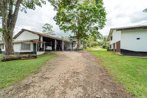 Imagem 13 de 30 de Sitio Rural - Praia Paulistanas - Reo639076