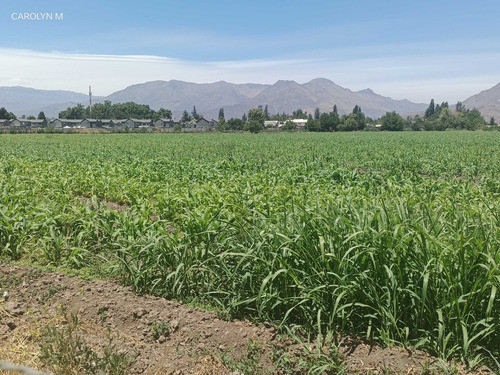 Los Andrés, Excelente Para Proyecto Inmbi. (77516)