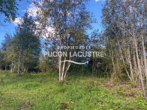 Parcela Sector Pte Luengo Caburga (agua/luz) (170307)