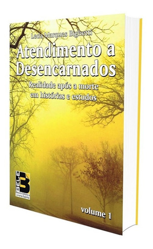 Atendimento a Desencarnados - Vol. 1: Não Aplica, de : Leda Marques Bighetti. Série Não aplica, vol. Não Aplica. Editora BELE, capa mole, edição não aplica em português, 2017