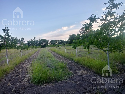Venta De Campo En San Rafael, Mendoza