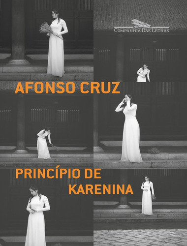 Princípio De Karenina: Principio De Karenina, De Cruz, Afonso. Editora Companhia Das Letras, Capa Mole, Edição 1 Em Português, 2021