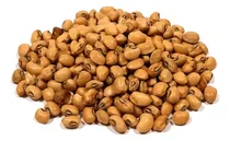 Comprar Feijão De Corda Extra + 10 Outros Tipos De Sementes\u002Fbrinde