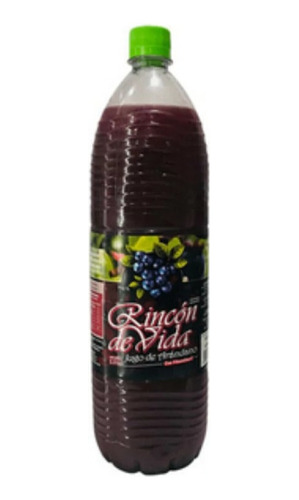 Rincon De Vida Jugo Puro De Arándanos 1,5 Lts 