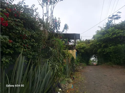 Venta Casa Campestre Salento. Quindío - Colombia Cod: 9054527